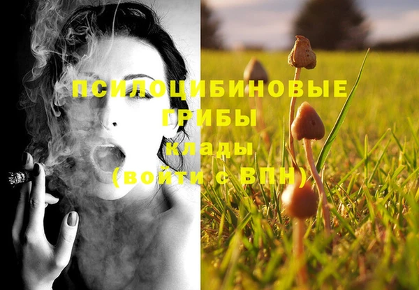бошки Алексеевка