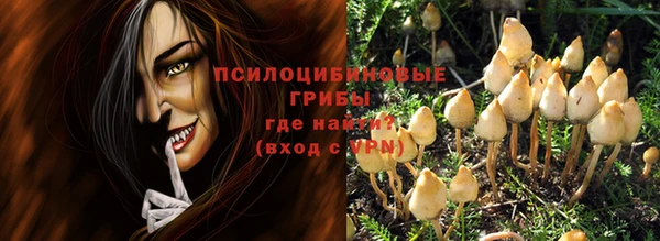 бошки Алексеевка