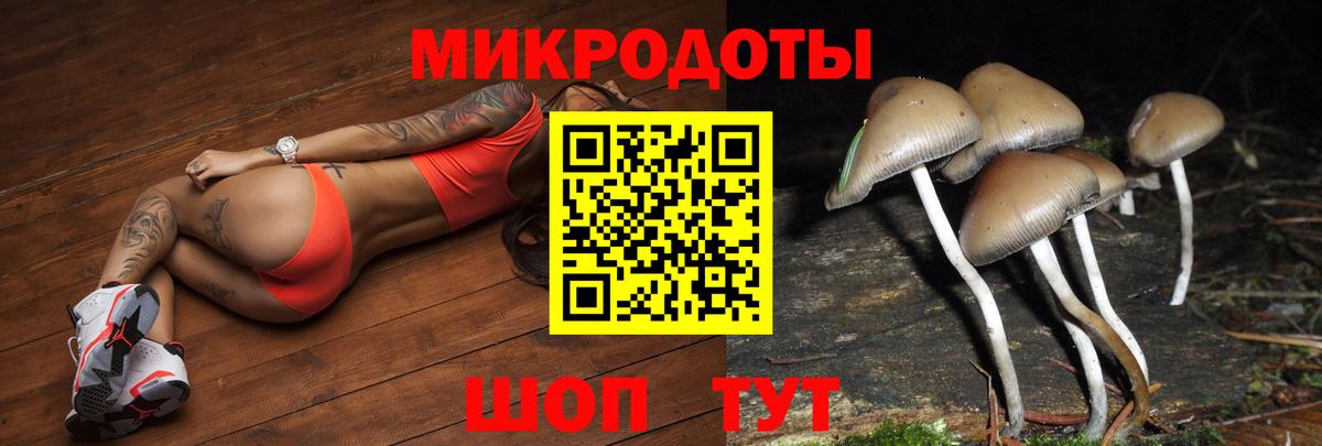 Североуральск  Галлюциногенные грибы ЛСД  Вход с VPN 